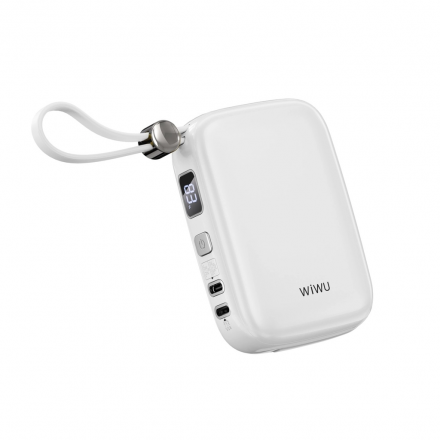 Pin dự phòng 10.000mAh WiWU Monaco 
